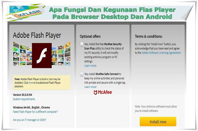 Fungsi Adobe Flash Player